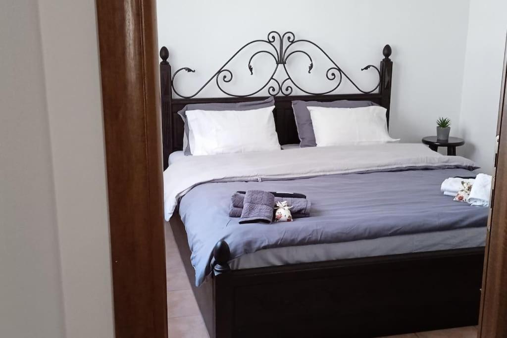 Elea Home Apartments Alexandroupolis Buitenkant foto