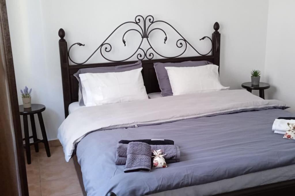 Elea Home Apartments Alexandroupolis Buitenkant foto